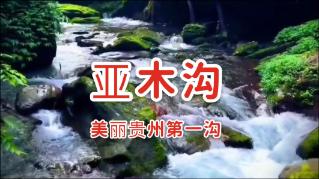 QQ炫舞